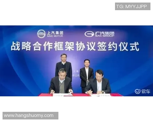 飞盘焦点:西安飞盘队的团队协作探讨